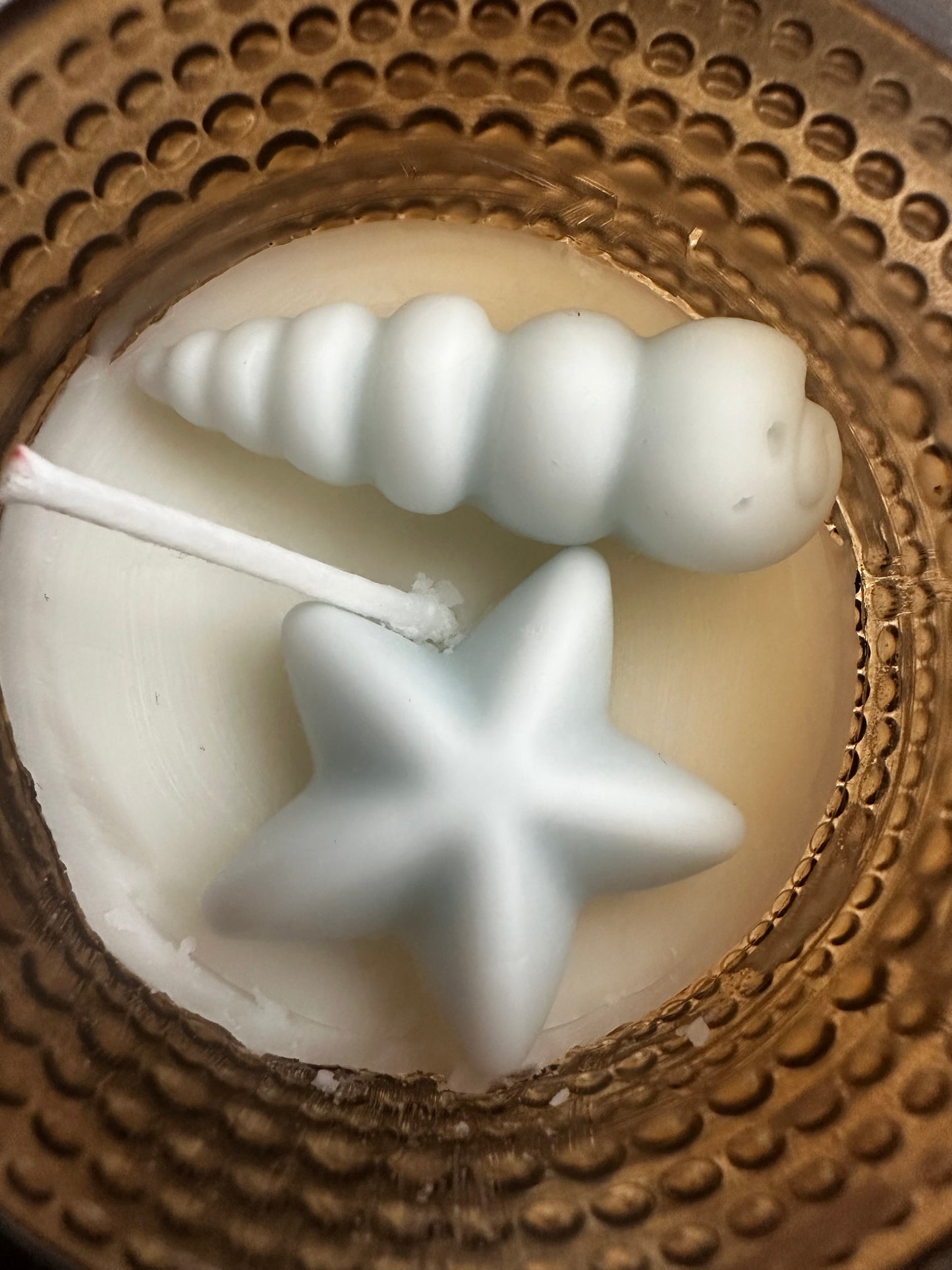 🌊 Coastal Sands Candle | Coconut & Sun-Warmed Sand Candle
