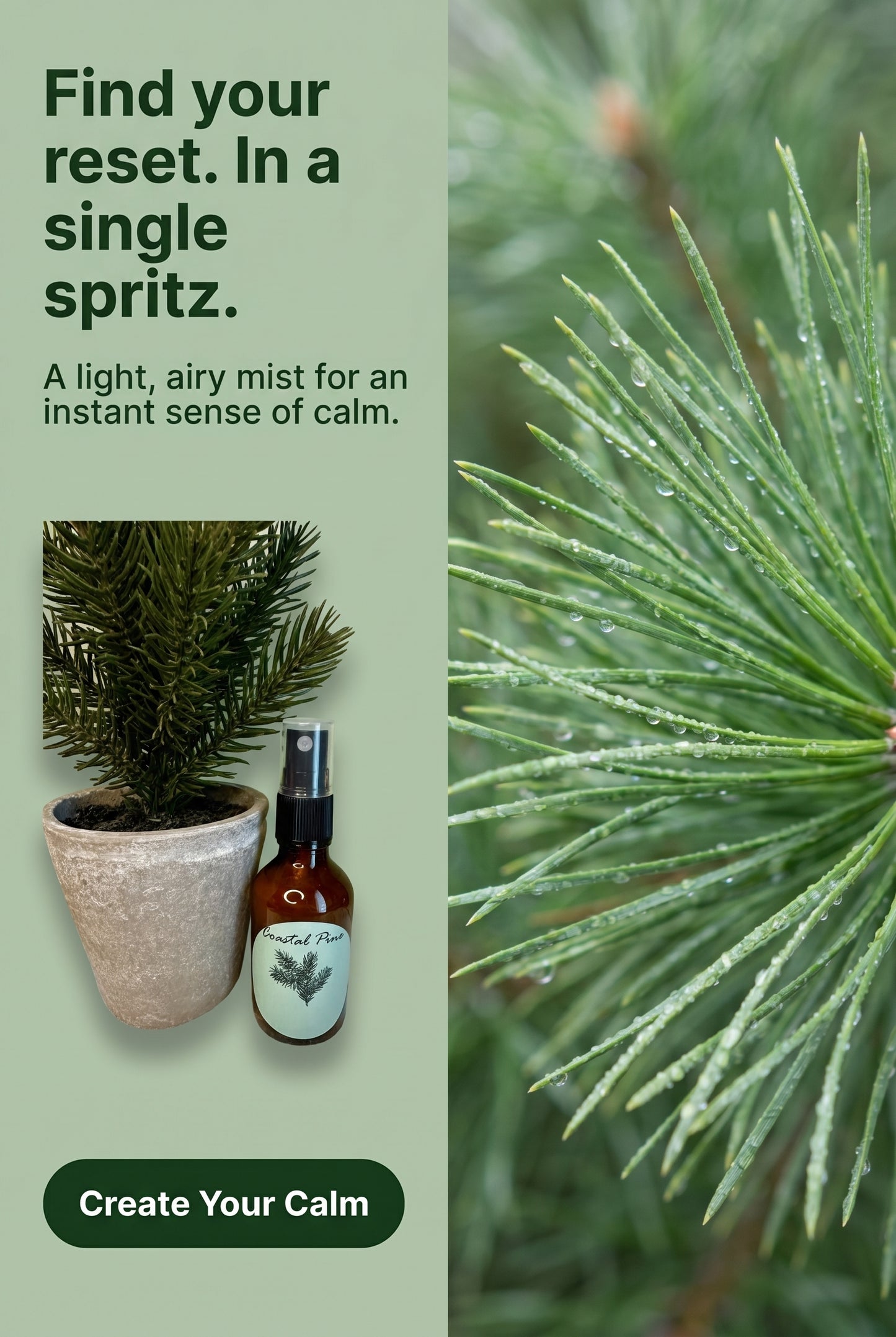 Costal Pine Essential Oil Mist